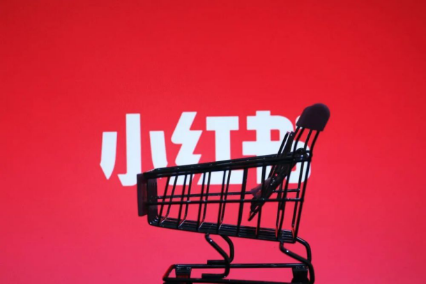 下载 (6).png