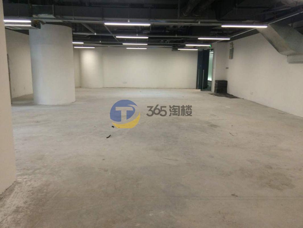 金鹰国际