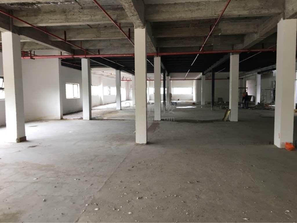 芳华德必运动LOFT