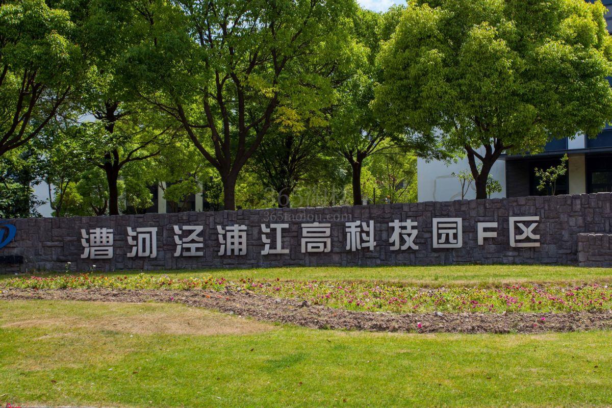 浦江高科技园周边环境