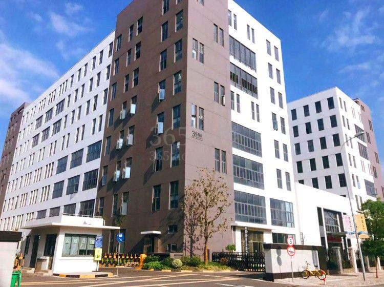 张江示范区十周年：多礼米“国际资源”+“科技孵化”，精准赋能产业集聚