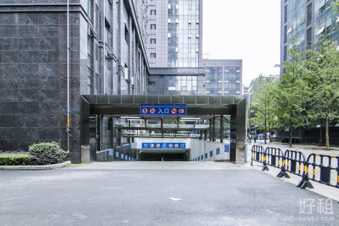 红星国际