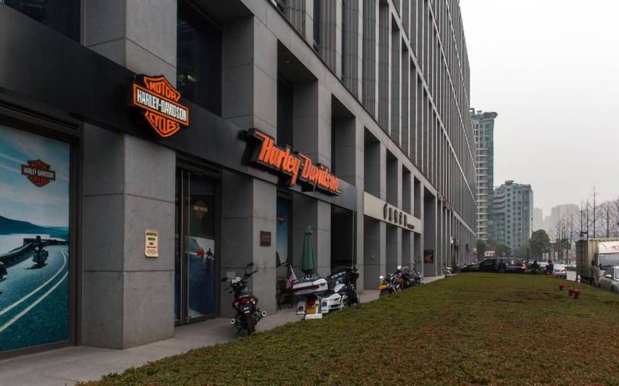 网新双城国际