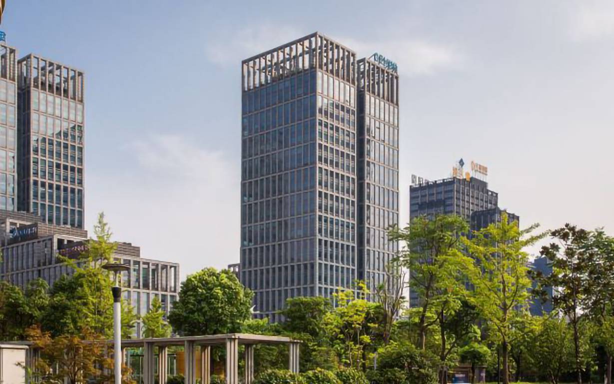 网新双城国际