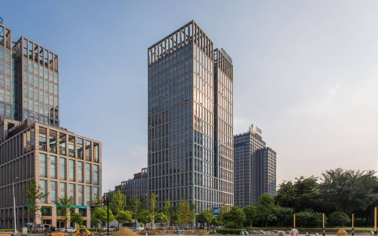 网新双城国际