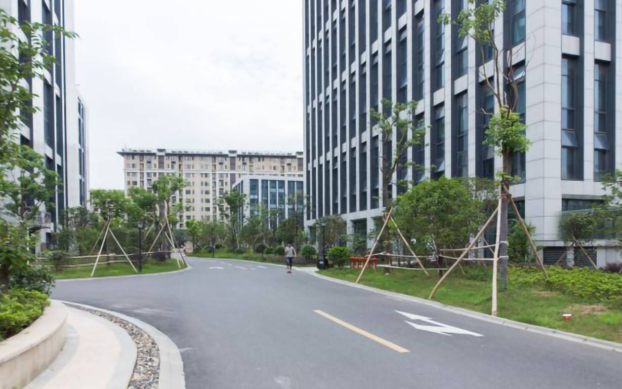 西溪联合科技广场周边环境
