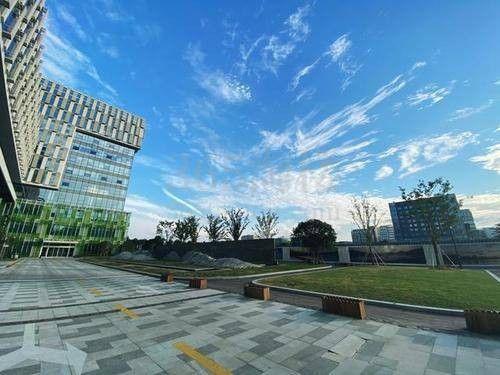 丽水数字大厦周边环境