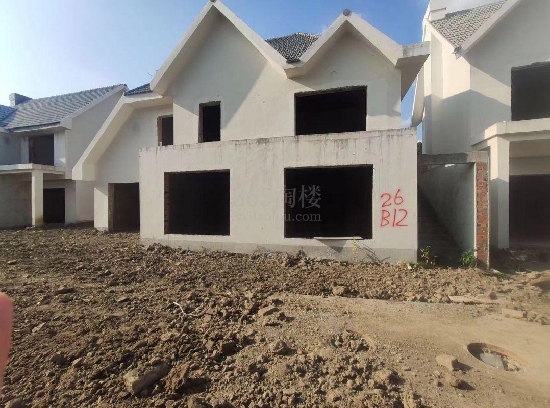胜者绿谷别墅外立面